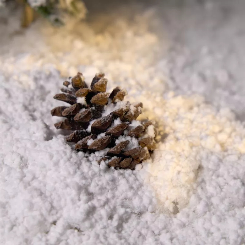 Snow Base Biodegradable